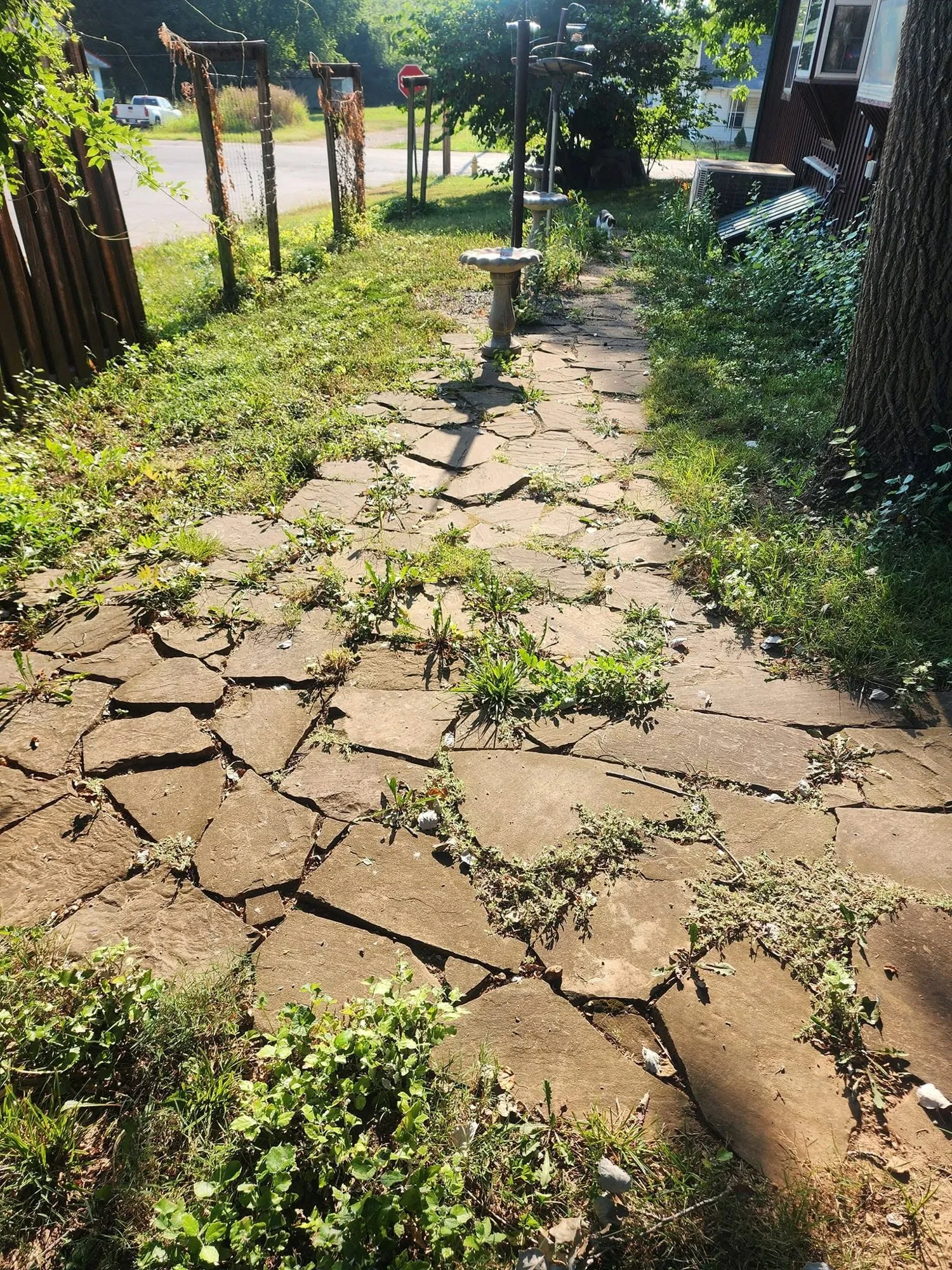 Before photo of a weedy, uneven flagstone walkway beside a house